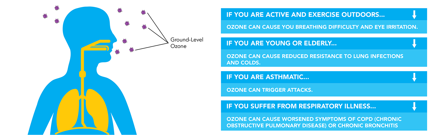 Diagram of the various ways ground-level ozone directly affect the human body