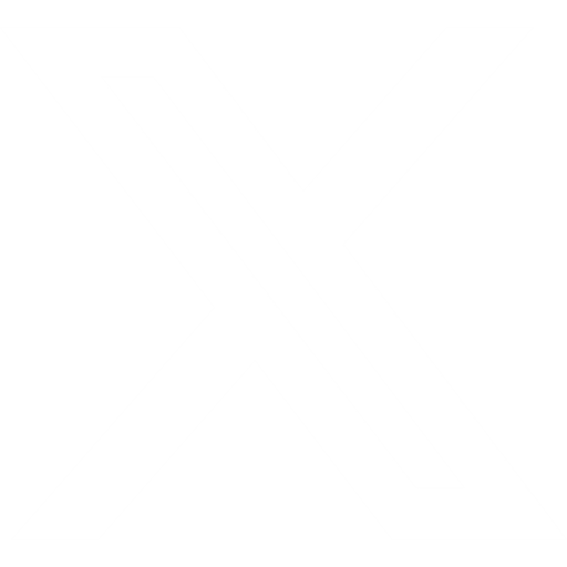 X the everything app